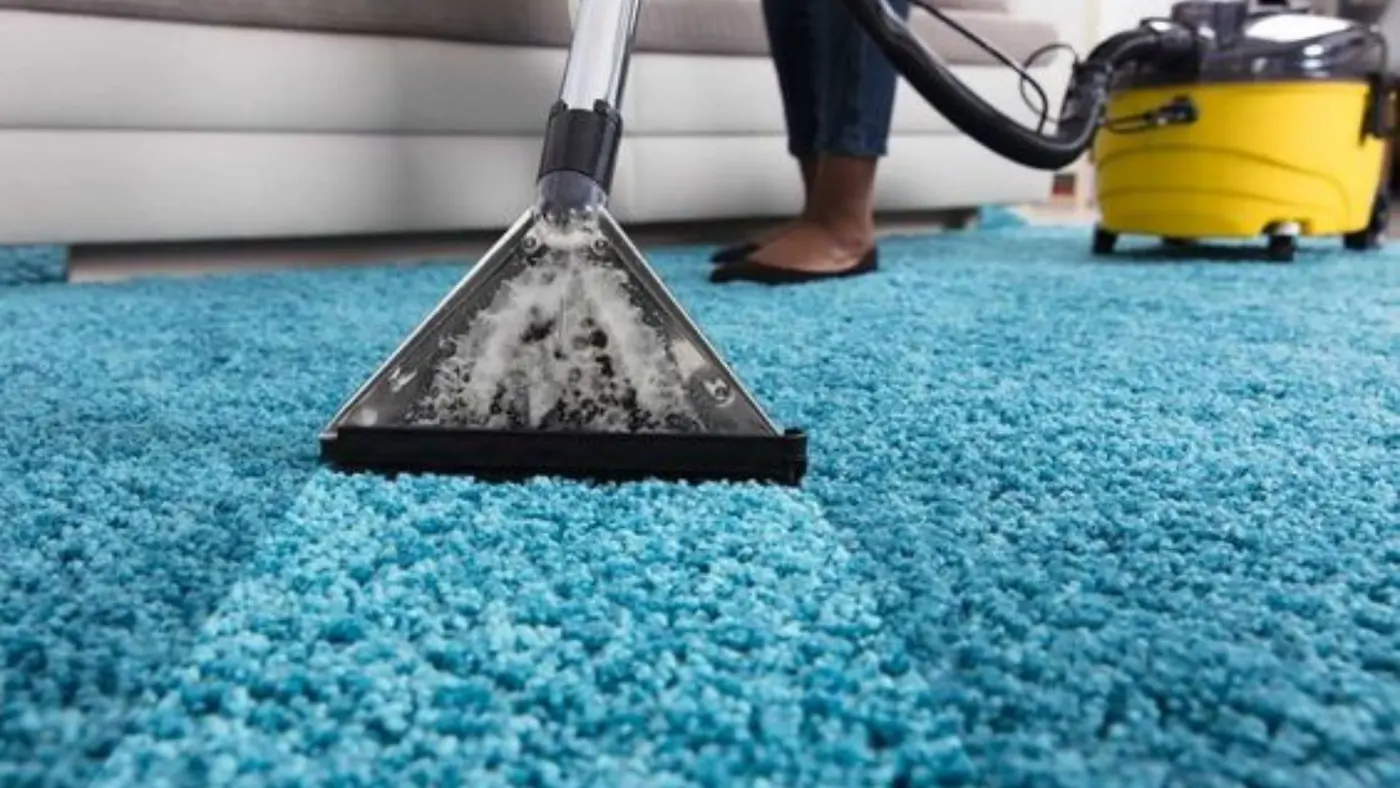 The Benefits of Regular Carpet Cleaning for Homes and Offices