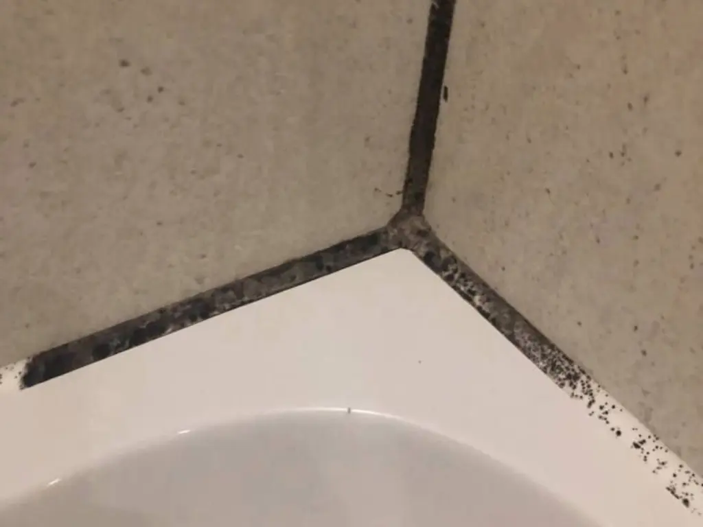 Moldy bathroom