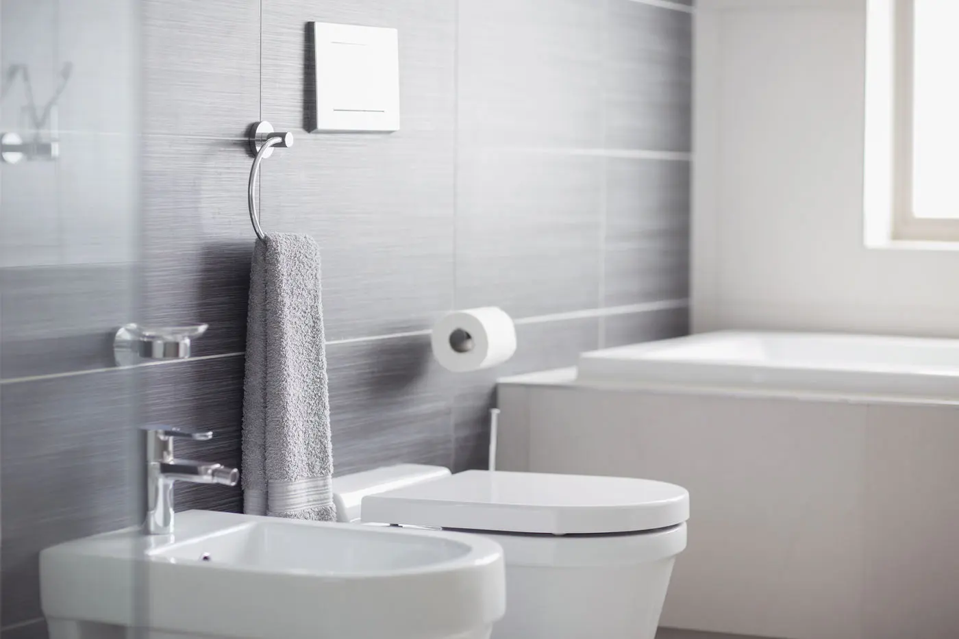 toilet cleaning