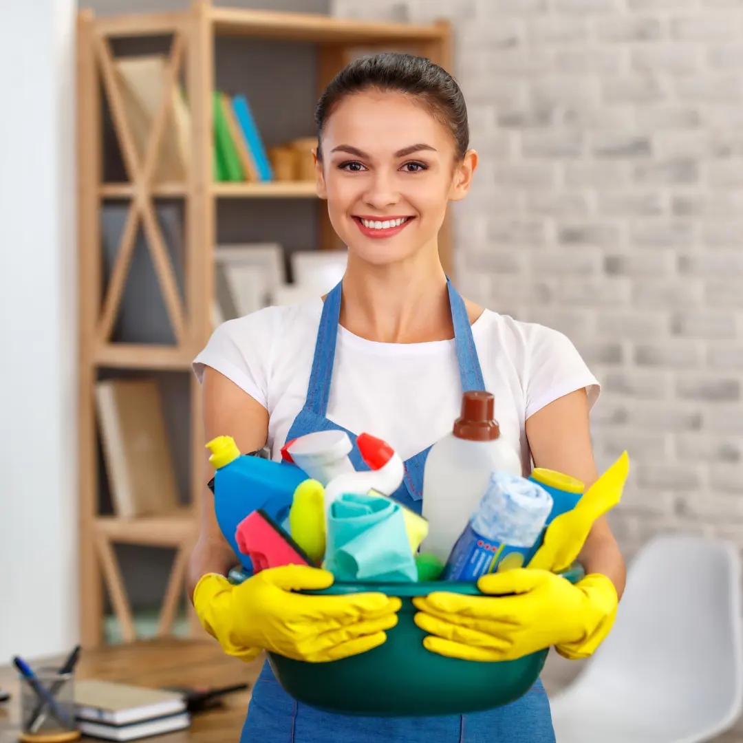 domestic cleaner