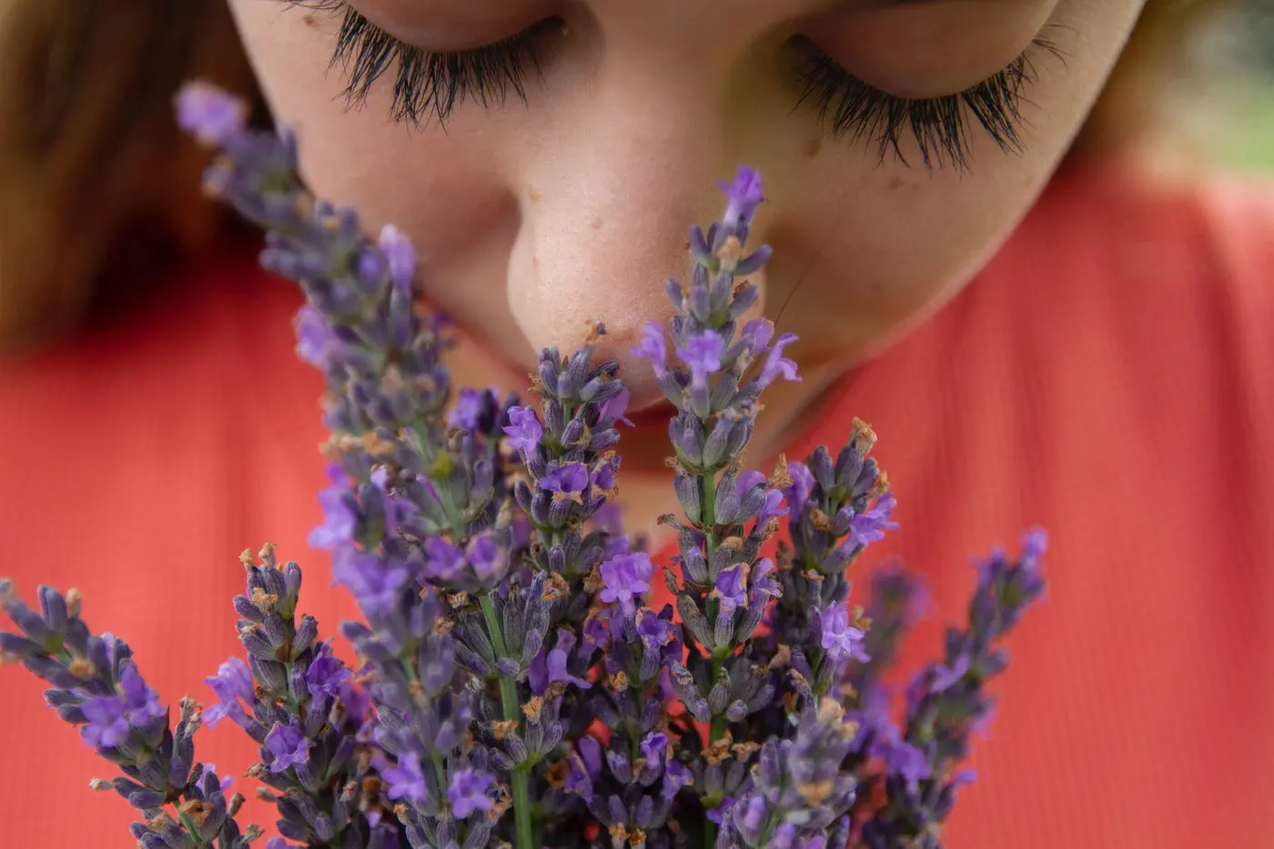 12 Tips to eliminate bad smells from your home